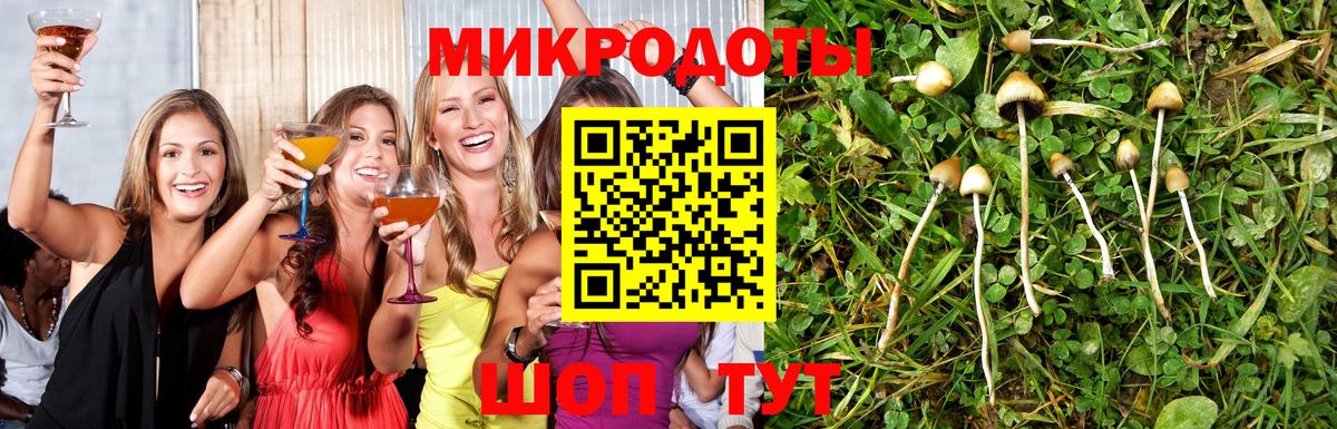 Псилоцибиновые грибы Psilocybine cubensis  Вход с VPN  Старая Купавна 